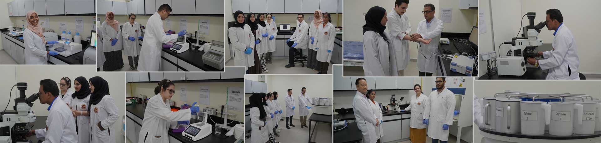 Translational Medical Research Centre(TMRC)