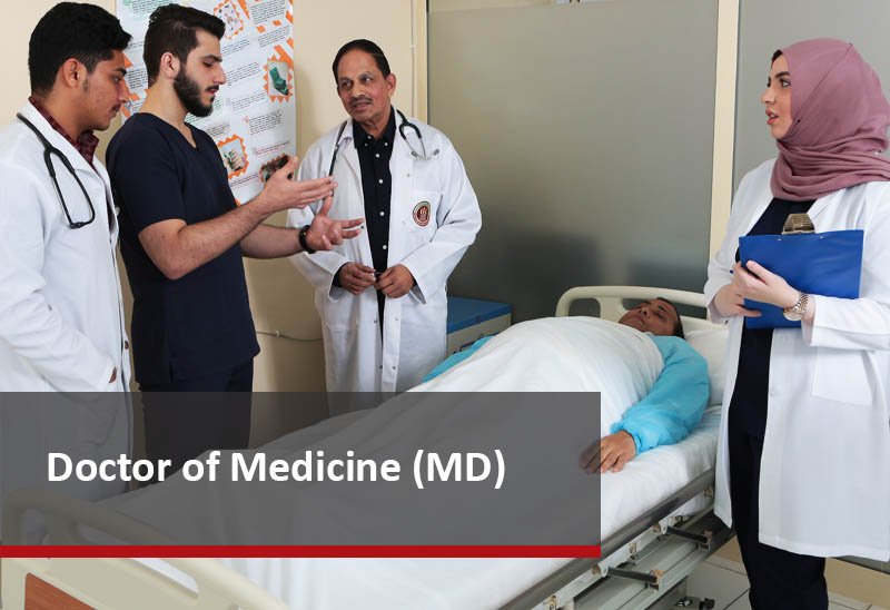 Doctor of Medicine (MD)