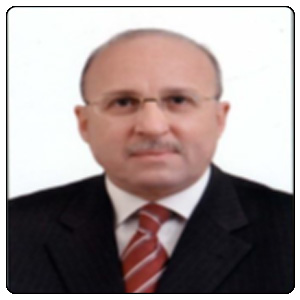 Prof.Adel